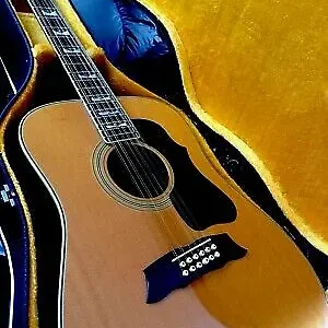 M G MORRIS . G. MORRIS MG 1000 12 String Acoustic Guitar VINTAGE JAPAN.
